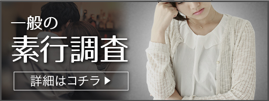 ��ʂ̑f�s����